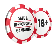 Responsible-Gambling bison-pl2.top
